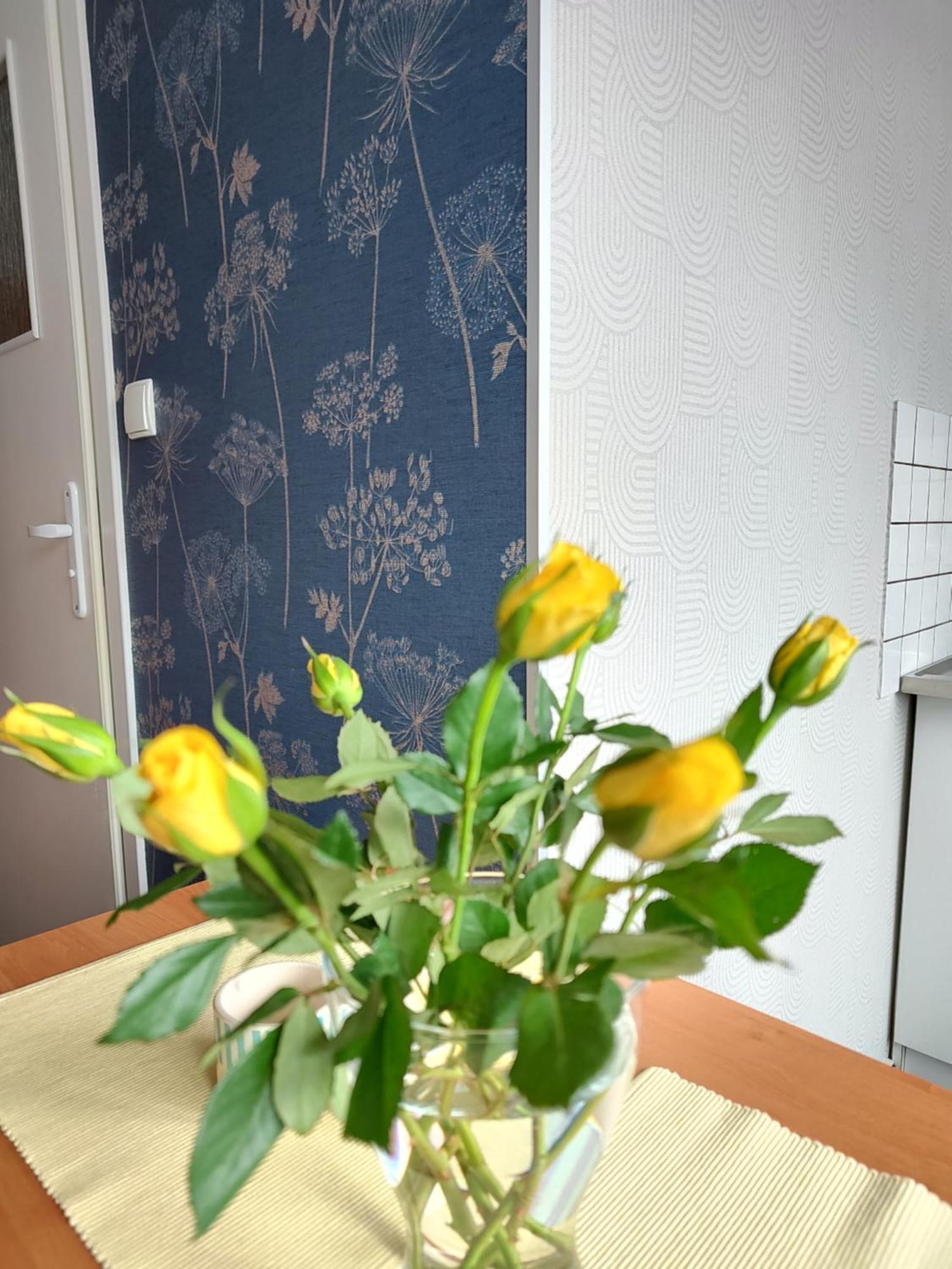 Apartamenty Hejszowina Kudowa-Zdrój Esterno foto