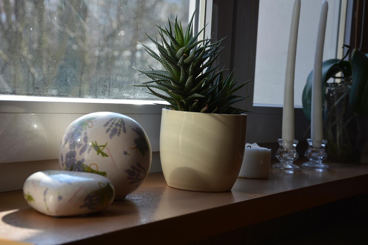Apartamenty Hejszowina Kudowa-Zdrój Esterno foto